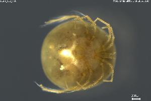  ( - BGPT_022_H06)  @11 [ ] Creative Commons Attribution NonCommercial ShareAlike (2025) (2025) Research Center in Biodiversity and Genetic Resources Research Center in Biodiversity and Genetic Resources