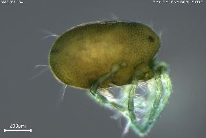  ( - BGPT_022_H04)  @11 [ ] Creative Commons Attribution NonCommercial ShareAlike (2025) (2025) Research Center in Biodiversity and Genetic Resources Research Center in Biodiversity and Genetic Resources