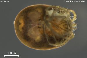  ( - BGPT_018_A07)  @11 [ ] Creative Commons Attribution NonCommercial ShareAlike (2025) (2025) Research Center in Biodiversity and Genetic Resources Research Center in Biodiversity and Genetic Resources