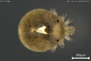  ( - BGPT_018_D06)  @11 [ ] Creative Commons Attribution NonCommercial ShareAlike (2025) (2025) Research Center in Biodiversity and Genetic Resources Research Center in Biodiversity and Genetic Resources