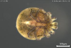  ( - BGPT_018_D06)  @11 [ ] Creative Commons Attribution NonCommercial ShareAlike (2025) (2025) Research Center in Biodiversity and Genetic Resources Research Center in Biodiversity and Genetic Resources