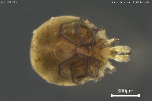  ( - BGPT_018_A05)  @11 [ ] Creative Commons Attribution NonCommercial ShareAlike (2025) (2025) Research Center in Biodiversity and Genetic Resources Research Center in Biodiversity and Genetic Resources