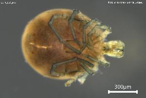  ( - BGPT_018_B05)  @11 [ ] Creative Commons Attribution NonCommercial ShareAlike (2025) (2025) Research Center in Biodiversity and Genetic Resources Research Center in Biodiversity and Genetic Resources