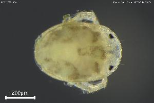  ( - BGPT_018_E10)  @11 [ ] Creative Commons Attribution NonCommercial ShareAlike (2025) (2025) Research Center in Biodiversity and Genetic Resources Research Center in Biodiversity and Genetic Resources