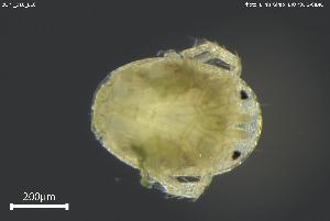  ( - BGPT_018_E10)  @11 [ ] Creative Commons Attribution NonCommercial ShareAlike (2025) (2025) Research Center in Biodiversity and Genetic Resources Research Center in Biodiversity and Genetic Resources