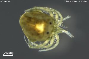  ( - BGPT_018_C10)  @11 [ ] Creative Commons Attribution NonCommercial ShareAlike (2025) (2025) Research Center in Biodiversity and Genetic Resources Research Center in Biodiversity and Genetic Resources