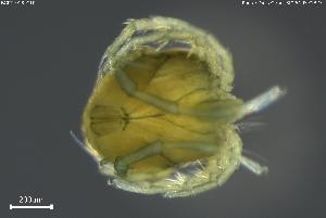  ( - BGPT_018_C10)  @11 [ ] Creative Commons Attribution NonCommercial ShareAlike (2025) (2025) Research Center in Biodiversity and Genetic Resources Research Center in Biodiversity and Genetic Resources