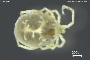  ( - BGPT_022_H09)  @11 [ ] Creative Commons Attribution NonCommercial ShareAlike (2025) (2025) Research Center in Biodiversity and Genetic Resources Research Center in Biodiversity and Genetic Resources