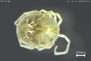  ( - BGPT_022_H09)  @11 [ ] Creative Commons Attribution NonCommercial ShareAlike (2025) (2025) Research Center in Biodiversity and Genetic Resources Research Center in Biodiversity and Genetic Resources