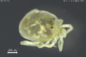  ( - BGPT_022_B10)  @11 [ ] Creative Commons Attribution NonCommercial ShareAlike (2025) (2025) Research Center in Biodiversity and Genetic Resources Research Center in Biodiversity and Genetic Resources