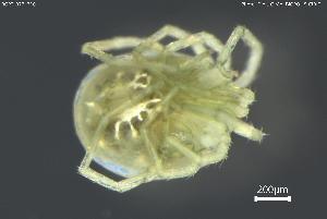  ( - BGPT_022_B10)  @11 [ ] Creative Commons Attribution NonCommercial ShareAlike (2025) (2025) Research Center in Biodiversity and Genetic Resources Research Center in Biodiversity and Genetic Resources