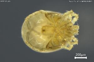  ( - BGPT_022_A01)  @11 [ ] Creative Commons Attribution NonCommercial ShareAlike (2025) (2025) Research Center in Biodiversity and Genetic Resources Research Center in Biodiversity and Genetic Resources