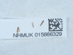  ( - NHMUK015666329)  @11 [ ] Unspecified (default): All Rights Reserved  Unspecified Unspecified