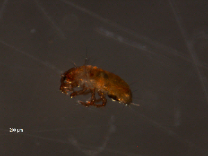  ( - BIOUG01714-D09)  @12 [ ] CreativeCommons - Attribution (2014) Centre for Biodiversity Genomics Centre for Biodiversity Genomics