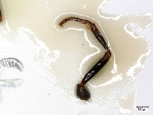  ( - cvb418EB002)  @11 [ ] No Rights Reserved  Christoph von Beeren TU Darmstadt