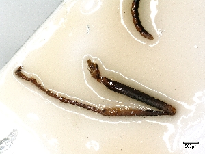  ( - cvb418EB002)  @11 [ ] No Rights Reserved  Christoph von Beeren TU Darmstadt