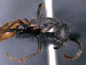  ( - cvb418EB002)  @11 [ ] No Rights Reserved  Christoph von Beeren TU Darmstadt