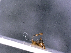  ( - cvb418EB003)  @11 [ ] No Rights Reserved  Christoph von Beeren TU Darmstadt