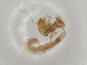  ( - ECORG012-E11)  @11 [ ] CreativeCommons - Attribution (2022) Centre for Biodiversity Genomics Centre for Biodiversity Genomics