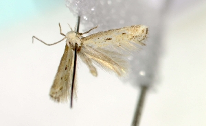  ( - MM16743)  @12 [ ] Unspecified (default): All Rights Reserved  Unspecified Unspecified