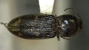  ( - SRG0432)  @11 [ ] Unspecified (default): All Rights Reserved  Unspecified Unspecified