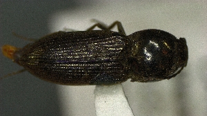  ( - SRG0433)  @11 [ ] Unspecified (default): All Rights Reserved  Unspecified Unspecified