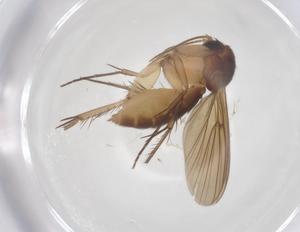  ( - CBG-B16130-F09)  @11 [ ] CreativeCommons - Attribution Share - Alike (2025) Centre for Biodiversity Genomics Centre for Biodiversity Genomics