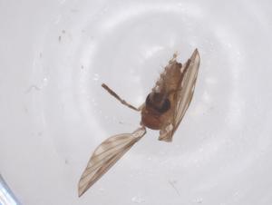  ( - CBG-B18022-E07)  @11 [ ] CreativeCommons - Attribution Share - Alike (2025) Centre for Biodiversity Genomics Centre for Biodiversity Genomics