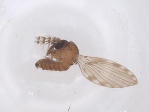  ( - CBG-B18022-F02)  @11 [ ] CreativeCommons - Attribution Share - Alike (2025) Centre for Biodiversity Genomics Centre for Biodiversity Genomics