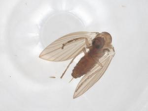  ( - CBG-B18078-B09)  @11 [ ] CreativeCommons - Attribution Share - Alike (2025) Centre for Biodiversity Genomics Centre for Biodiversity Genomics