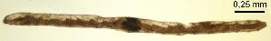  ( - RS2209)  @11 [ ] by-nc-sa (2024) R.M.Schmelz n/a