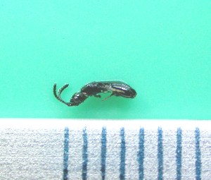  ( - Sample-EPMF89)  @12 [ ] Unspecified (default): All Rights Reserved  Unspecified Unspecified