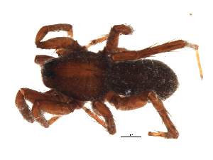  ( - 08EARGUE-0104)  @13 [ ] CC-0 (2009) Emily Robinson Unspecified