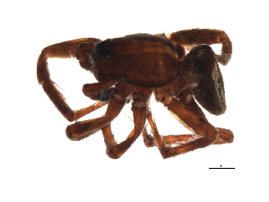  ( - 08EARGUE-0143)  @13 [ ] CC-0 (2009) Emily Robinson Unspecified