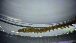  ( - 008_LC2_3_7)  @11 [ ] CreativeCommons - Attribution Share-Alike (2025) Unspecified University of Aberdeen