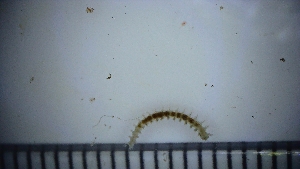  ( - 014_LE2_28_8)  @11 [ ] CreativeCommons - Attribution Share-Alike (2025) Unspecified University of Aberdeen