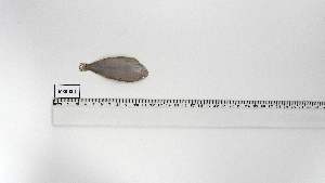  ( - MRB-CI-2)  @11 [ ] Unspecified (default): All Rights Reserved (2024) Institut National de Recherche Halieutique, Maroc Institut National de Recherche Halieutique, Maroc