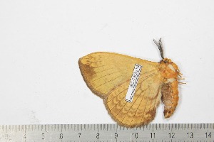  ( - BC-TB2019)  @13 [ ] Copyright (2010) Thierry Bouyer Research Collection of Thierry Bouyer