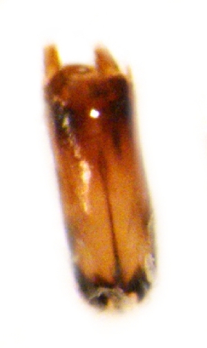  ( - GL-RO-21-03)  @12 [ ] Unspecified (default): All Rights Reserved  Unspecified Unspecified