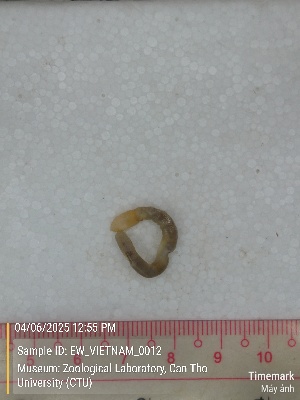  ( - EW_VIETNAM_0012)  @11 [ ] by-nc-sa (2025) Thibaud Deca&euml;ns University of Montpellier