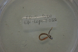  ( - EW-Lope12-0220)  @12 [ ] Copyright (2012) C.Doussot Ecodiv