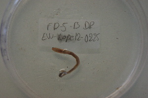  ( - EW-Lope12-0225)  @12 [ ] Copyright (2012) C.Doussot Ecodiv