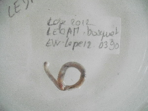  ( - EW-Lope12-0390)  @12 [ ] Copyright (2012) C.Doussot Ecodiv