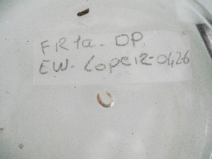  ( - EW-Lope12-0426)  @12 [ ] Copyright (2012) C.Doussot Ecodiv
