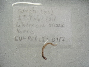  ( - EW-RCA12-0117)  @12 [ ] CreativeCommons - Attribution Non-Commercial Share-Alike (2013) ECODIV Univ Rouen