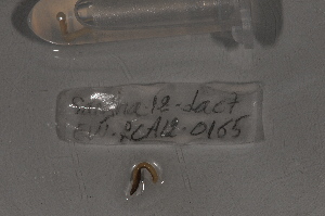  ( - EW-RCA12-0165)  @12 [ ] CreativeCommons - Attribution Non-Commercial Share-Alike (2013) ECODIV Univ Rouen