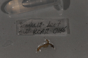  ( - EW-RCA12-0166)  @12 [ ] CreativeCommons - Attribution Non-Commercial Share-Alike (2013) ECODIV Univ Rouen