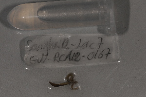  ( - EW-RCA12-0167)  @12 [ ] CreativeCommons - Attribution Non-Commercial Share-Alike (2013) ECODIV Univ Rouen