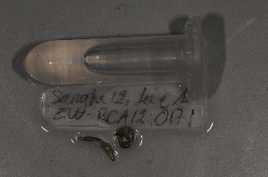  ( - EW-RCA12-0171)  @12 [ ] CreativeCommons - Attribution Non-Commercial Share-Alike (2013) ECODIV Univ Rouen