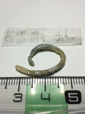  ( - LOPE13-161)  @12 [ ] CreativeCommons - Attribution Non-Commercial Share-Alike (2013) ECODIV Univ Rouen